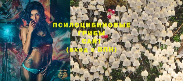 бутират Алзамай