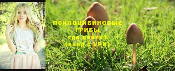 бутират Алзамай