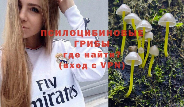 тгк Алексин