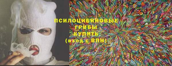 тгк Алексин