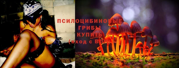 тгк Алексин