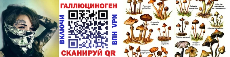 blacksprut онион Анжеро-Судженск Псилоцибиновые грибы мухоморы