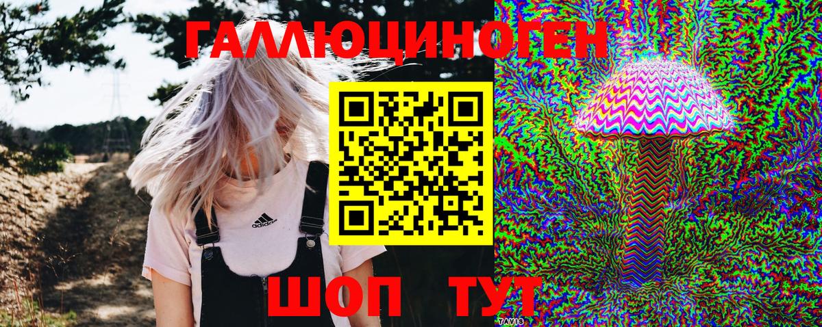 Анжеро-Судженск  Галлюциногенные грибы Psilocybe  Вход с VPN 