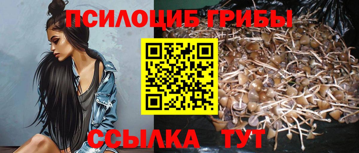 Галлюциногенные грибы прущие грибы Анжеро-Судженск