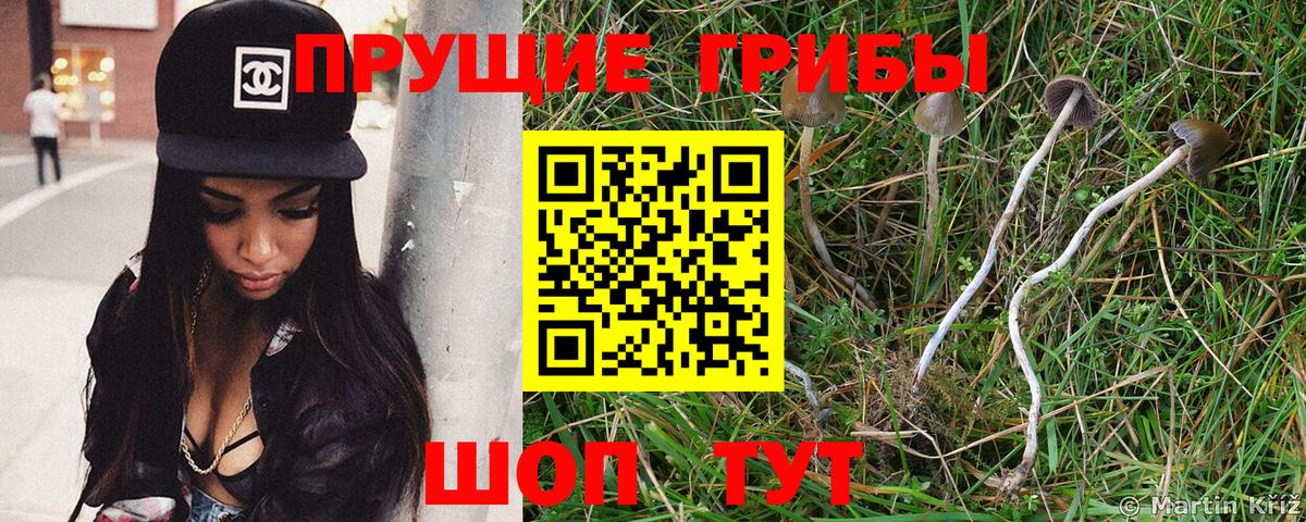 Анжеро-Судженск  Меф МЯУ МЯУ  МДМА  МЕФ кристаллы  Вход с VPN  Бошки Шишки  APVP СОЛЬ   Амфетамин   ГАШИШ 